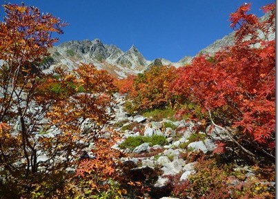 紅葉に染まる涸沢、奥穂登山